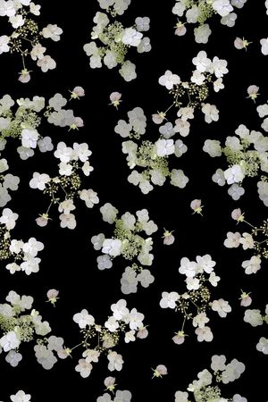 女装印花华亿平台图片