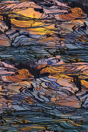 炫彩印花华亿平台图片