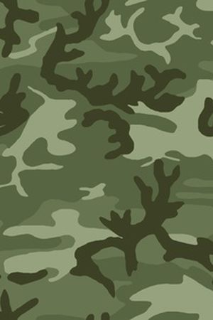 女装印花华亿平台图片