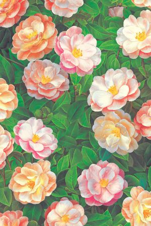 数码华亿平台印花华亿平台图片