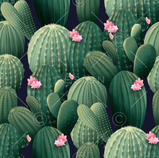 仙人掌印花华亿平台图片