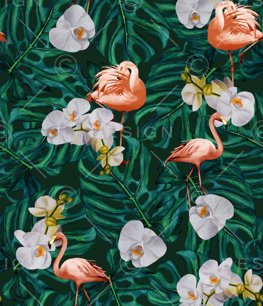 火烈鸟印花华亿平台图片