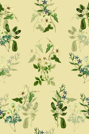 小清新印花华亿平台图片