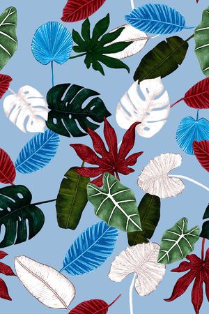 龟背竹印花华亿平台图片