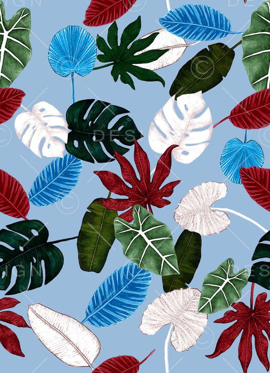 龟背竹印花华亿平台图片