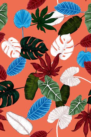 龟背竹印花华亿平台图片