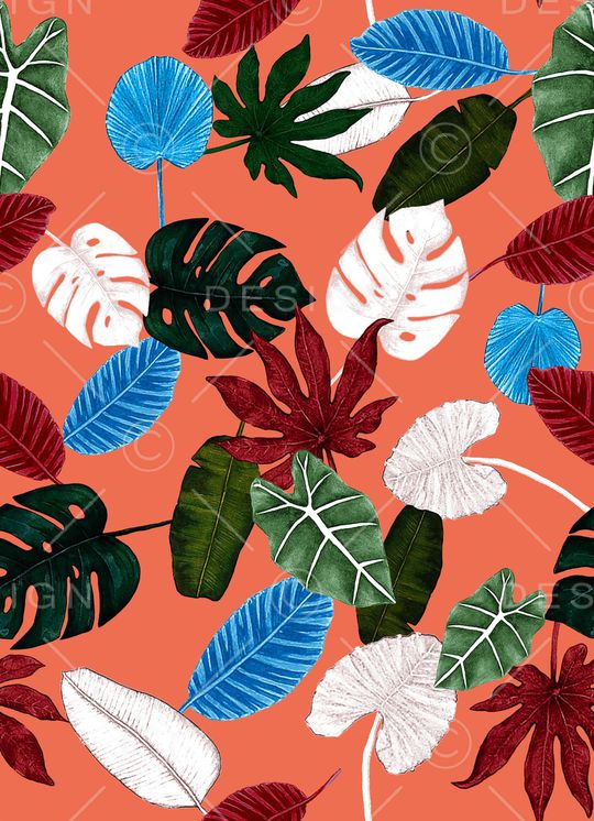 龟背竹印花华亿平台图片