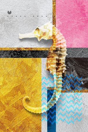 胸前独幅印花华亿平台图片