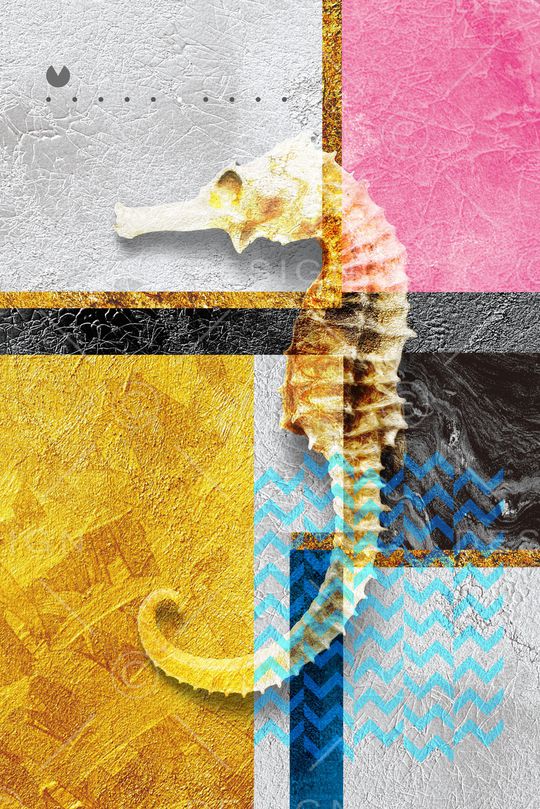 胸前独幅印花华亿平台图片