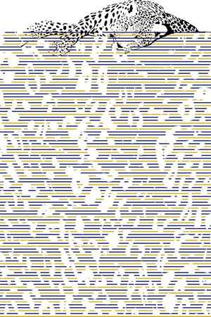 迷彩印花华亿平台图片