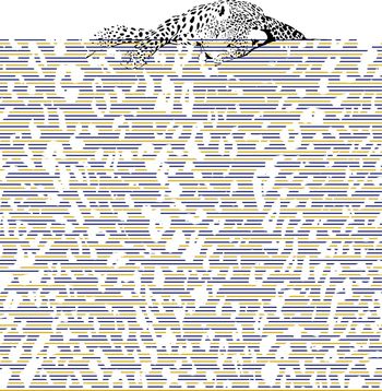 迷彩印花华亿平台图片