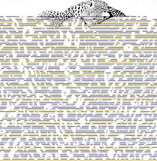 迷彩印花华亿平台图片