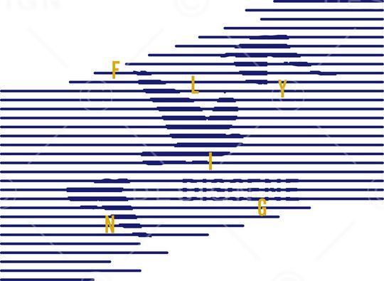 春夏华亿平台印花华亿平台图片