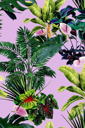 仙人掌印花华亿平台图片