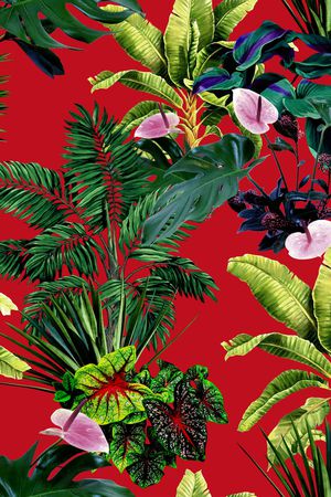 仙人掌印花华亿平台图片