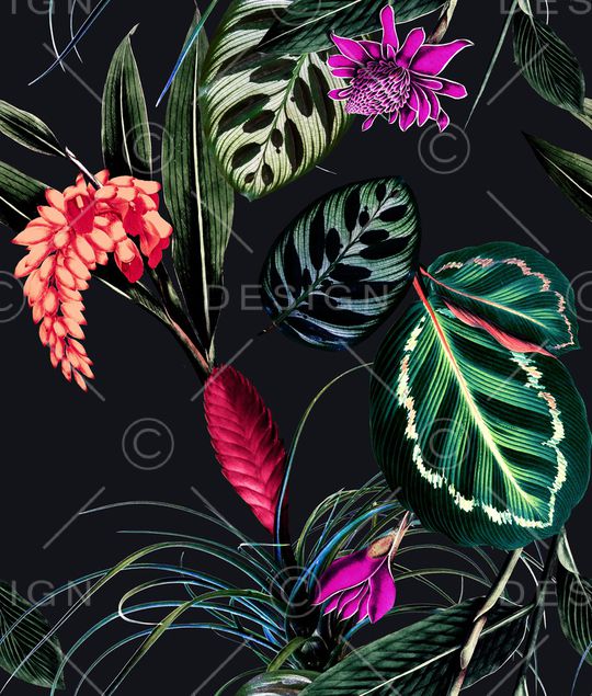 仙人掌印花华亿平台图片