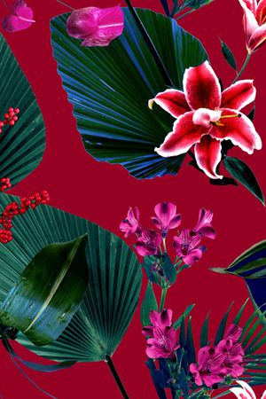 仙人掌印花华亿平台图片