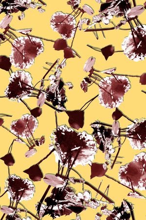 大牌风印花华亿平台图片