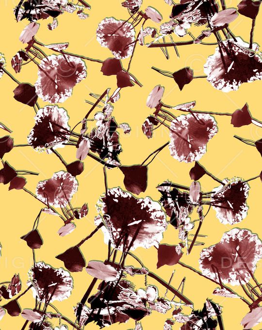 大牌风印花华亿平台图片