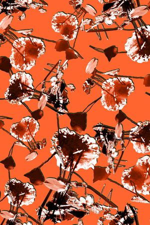 大牌风印花华亿平台图片