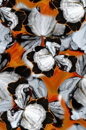 大牌风印花华亿平台图片