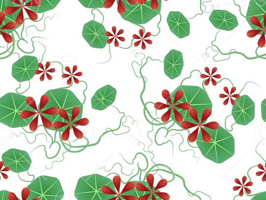 藤蔓印花华亿平台图片