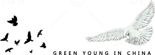 鸽子印花华亿平台图片