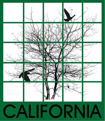 黑白华亿平台印花华亿平台图片