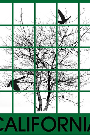 黑白华亿平台印花华亿平台图片