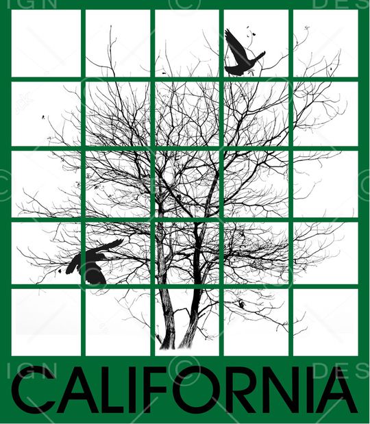 黑白华亿平台印花华亿平台图片