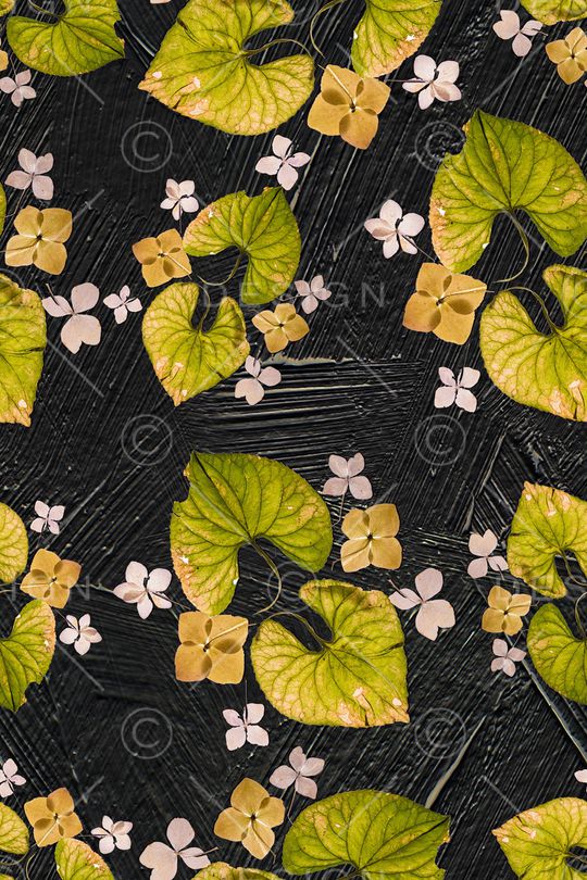 大牌风印花华亿平台图片