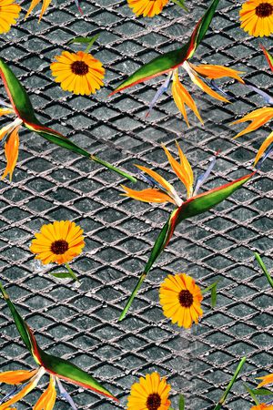 大牌风印花华亿平台图片