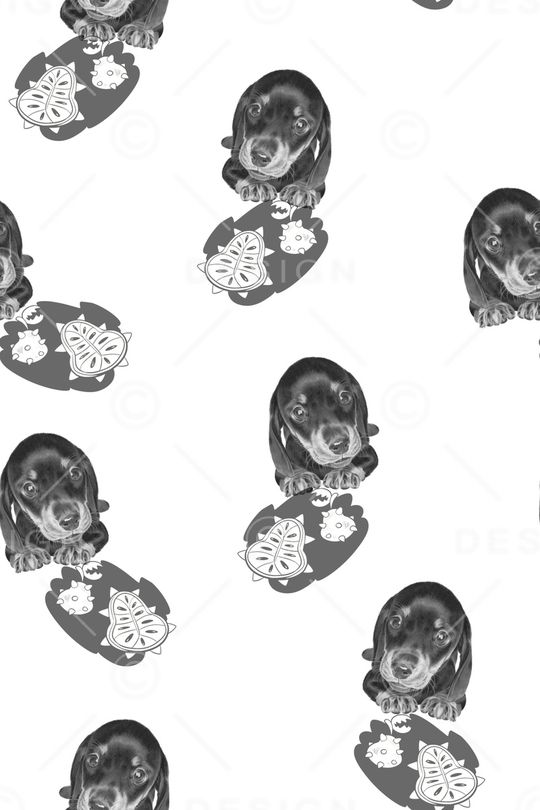 卡通动物印花华亿平台图片