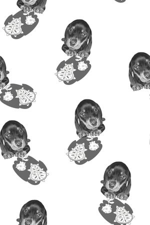 卡通动物印花华亿平台图片