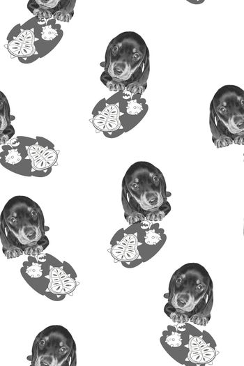 卡通动物印花华亿平台图片