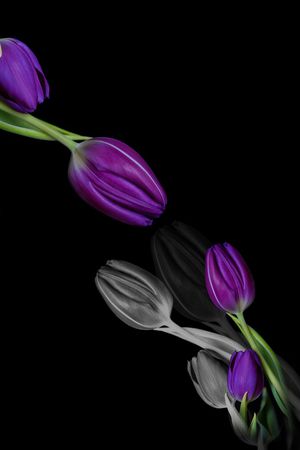 大牌风印花华亿平台图片