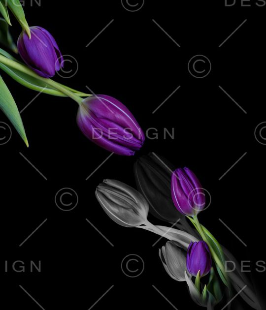 大牌风印花华亿平台图片