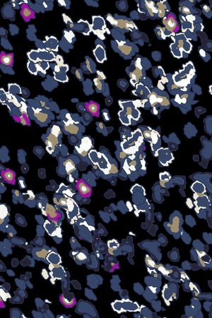 时尚印花华亿平台图片