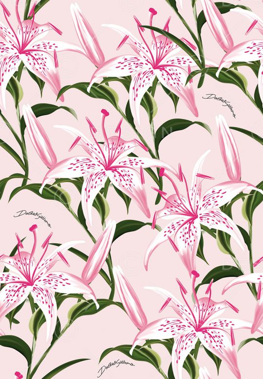 百合印花华亿平台图片