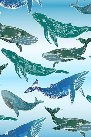 海鱼印花华亿平台图片