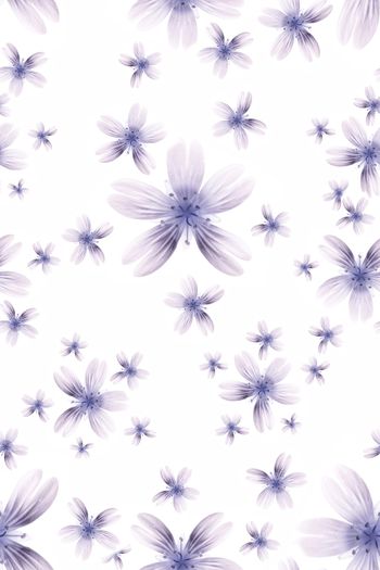 1232789-190708-nzhh-1-2