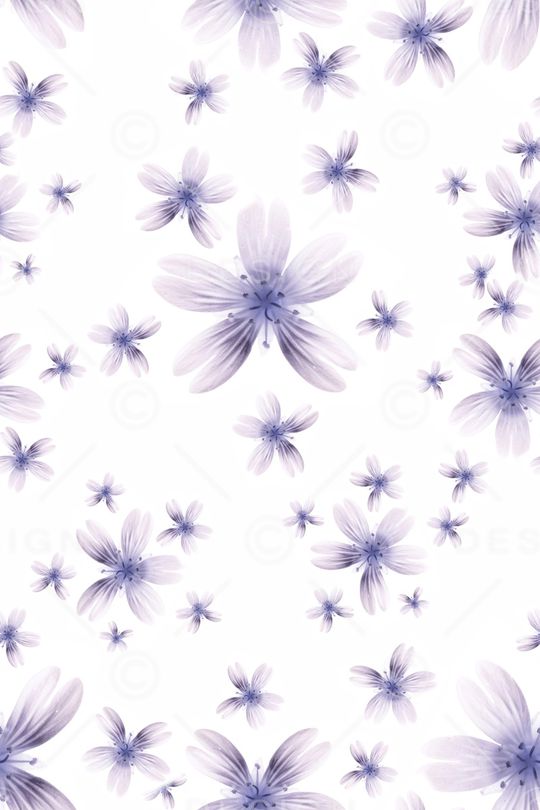 植物印花华亿平台图片