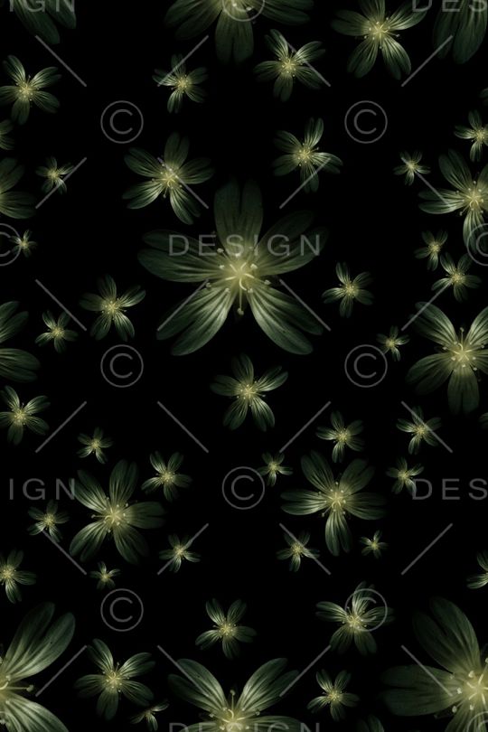 植物印花华亿平台图片