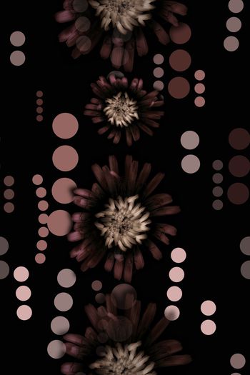 1232791-190708-nzhh-2-2