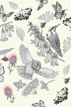 大牌风印花华亿平台图片