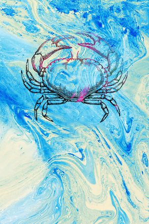 动物头印花华亿平台图片