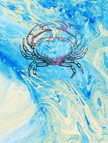 动物头印花华亿平台图片