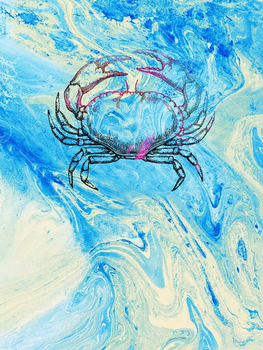 动物头印花华亿平台图片