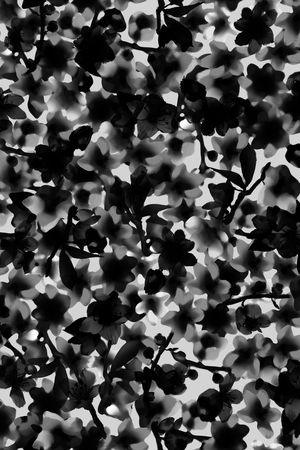 大牌风印花华亿平台图片