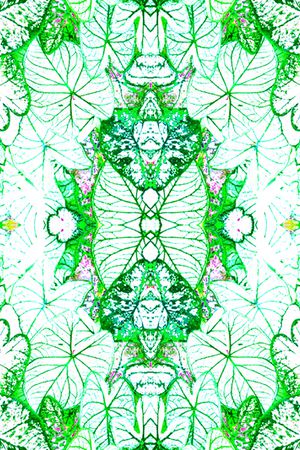 抽象花卉印花华亿平台图片